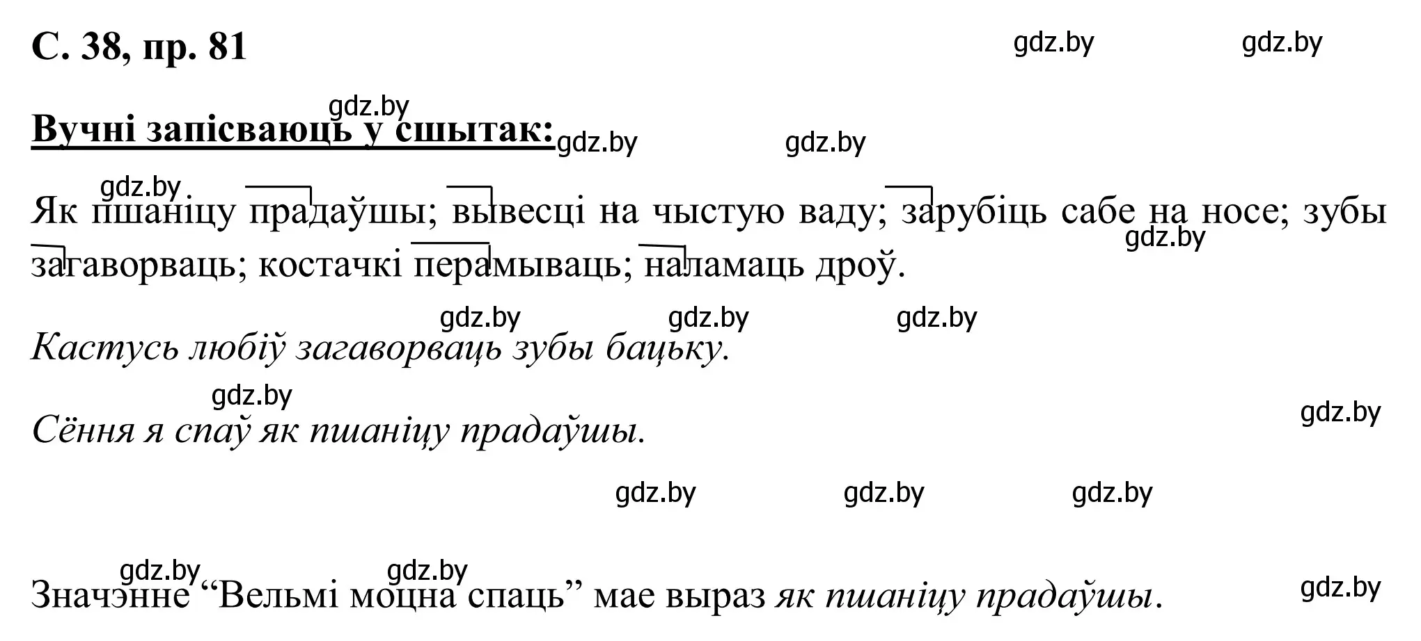 Решение номер 81 (страница 38) гдз по белорусскому языку 6 класс Валочка, Зелянко, учебник