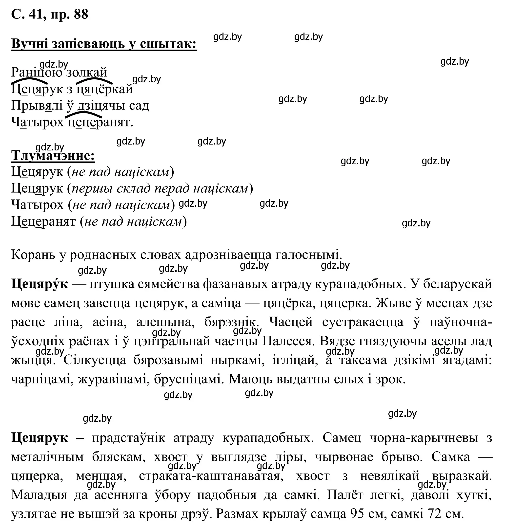 Решение номер 88 (страница 41) гдз по белорусскому языку 6 класс Валочка, Зелянко, учебник