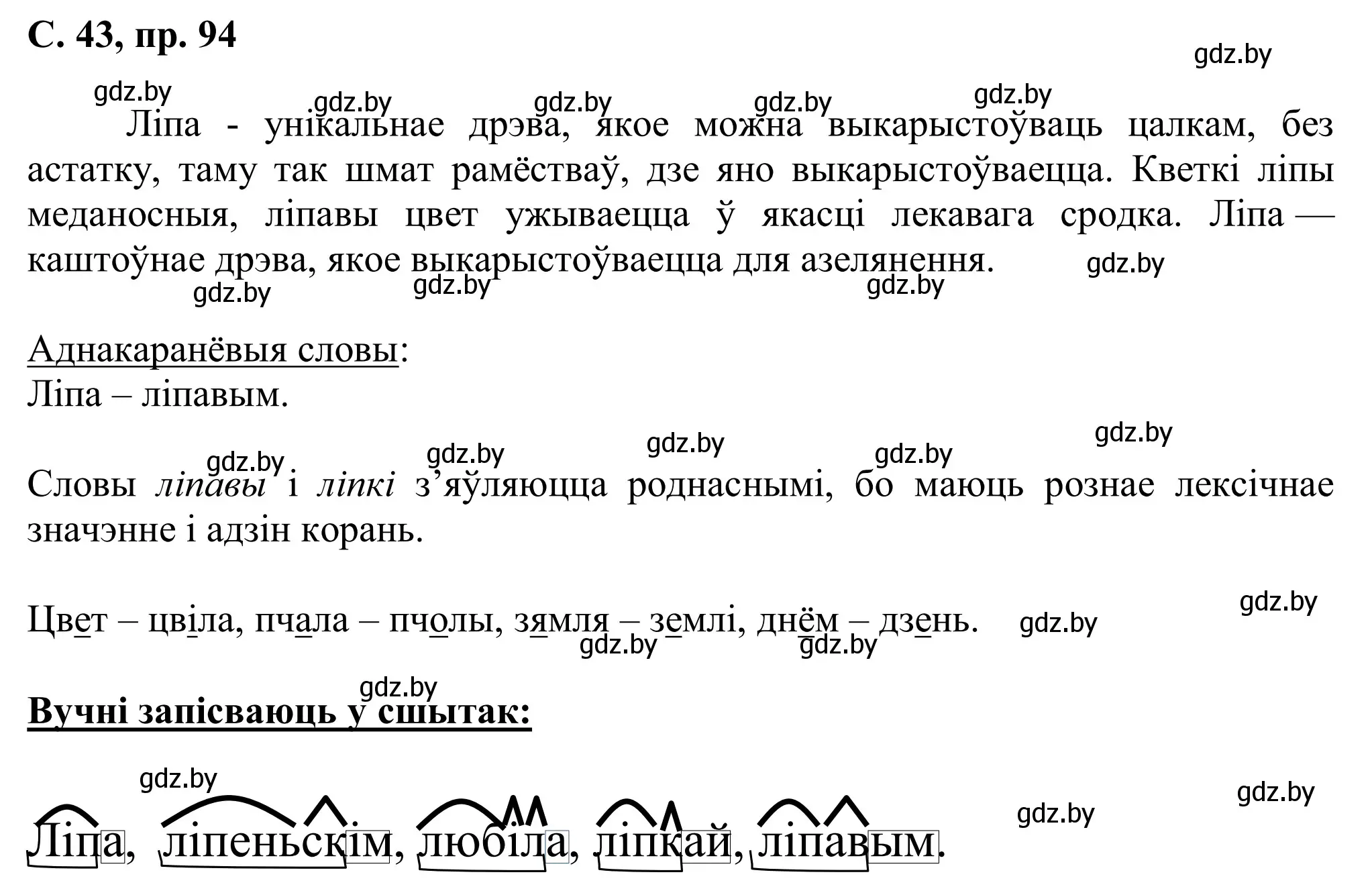 Решение номер 94 (страница 43) гдз по белорусскому языку 6 класс Валочка, Зелянко, учебник