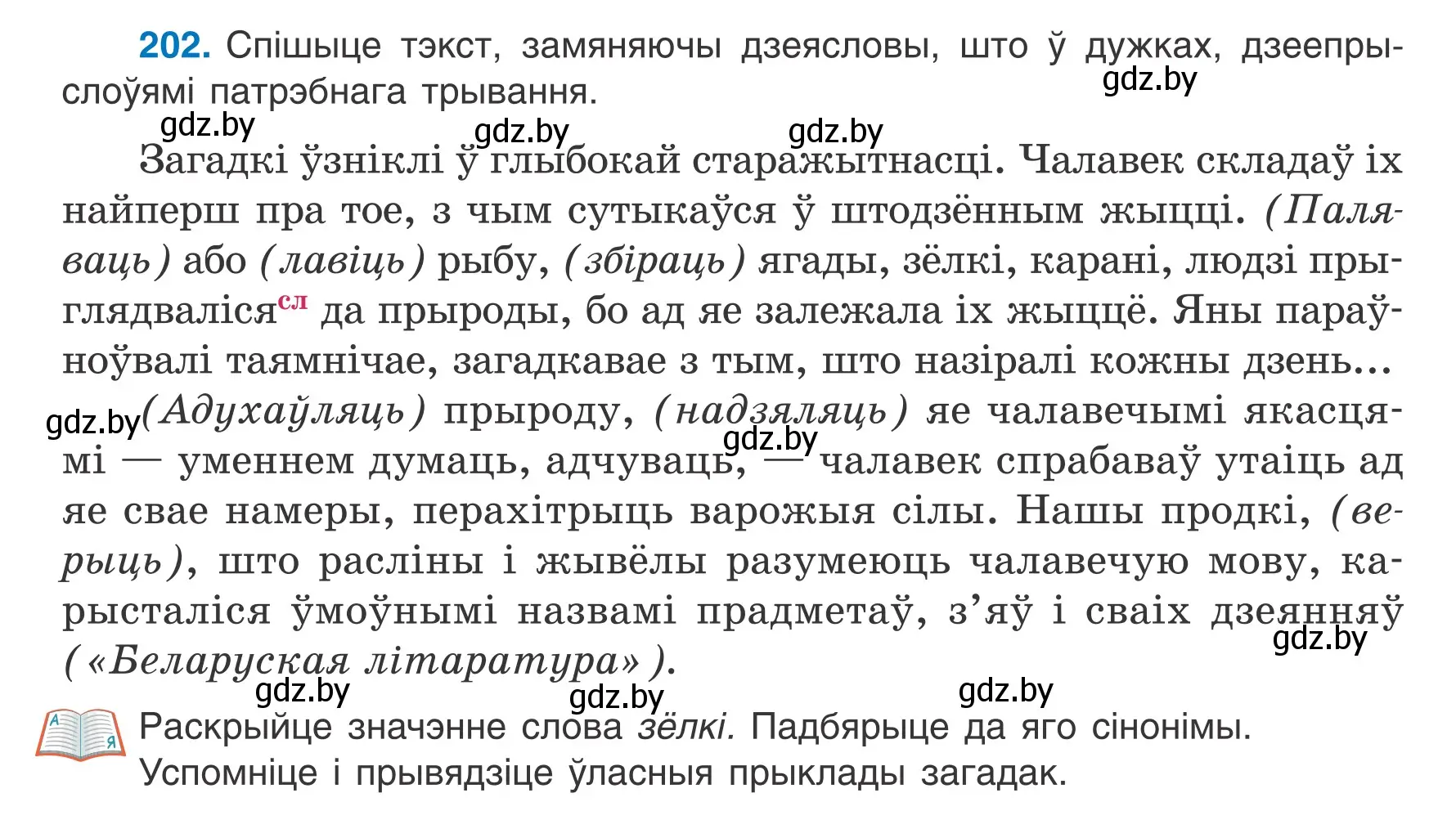 Условие номер 202 (страница 114) гдз по белорусскому языку 7 класс Валочка, Зелянко, учебник