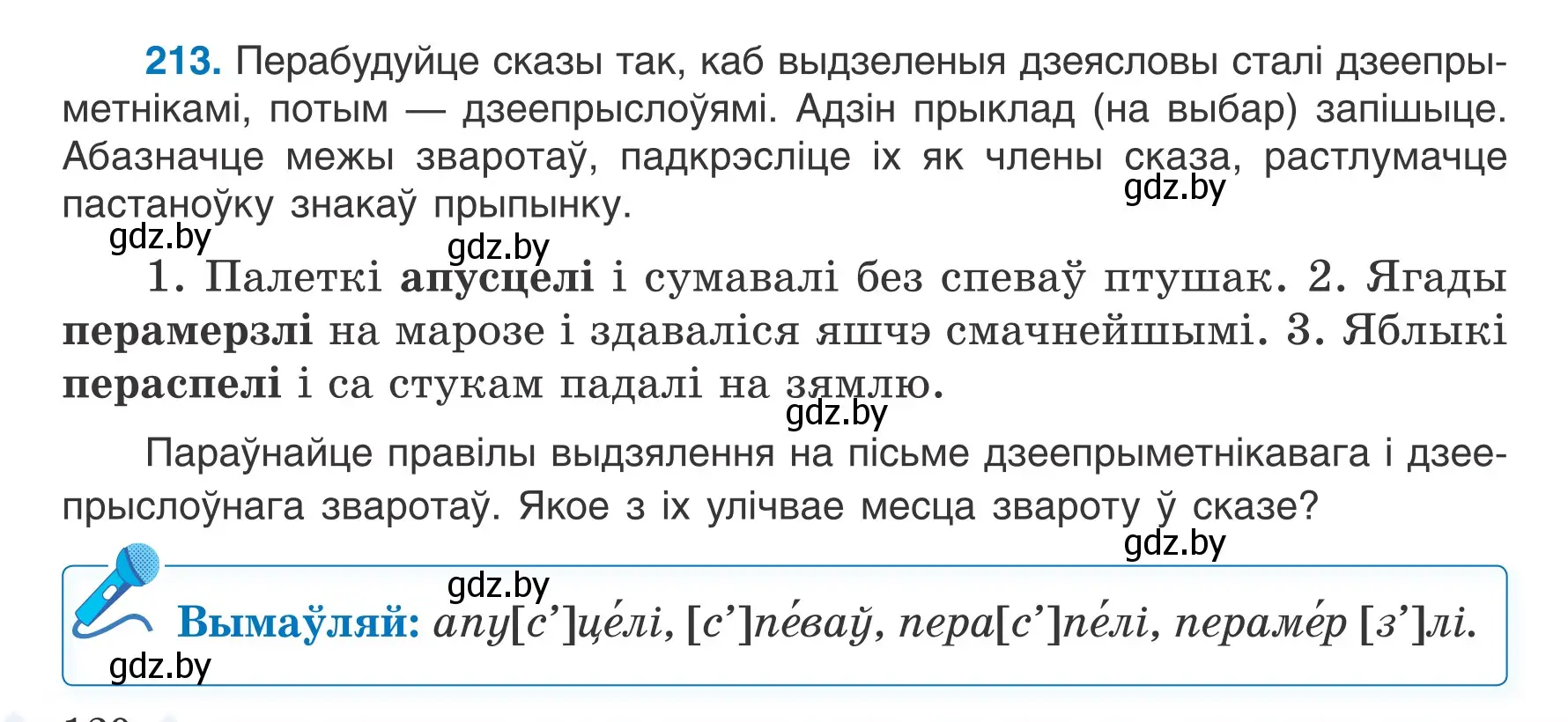 Условие номер 213 (страница 120) гдз по белорусскому языку 7 класс Валочка, Зелянко, учебник