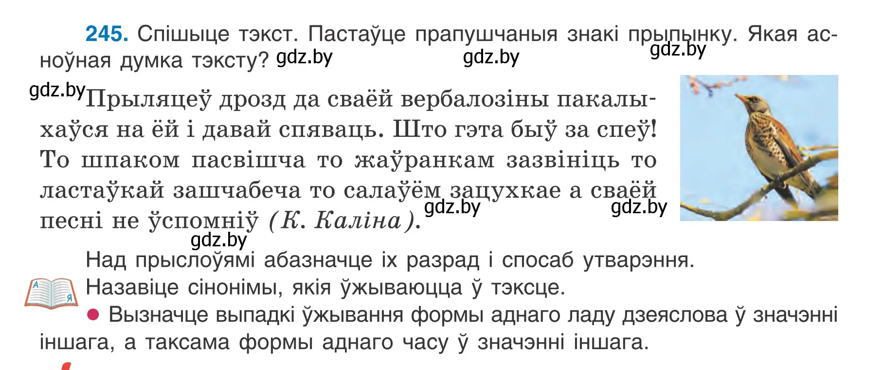 Условие номер 245 (страница 140) гдз по белорусскому языку 7 класс Валочка, Зелянко, учебник