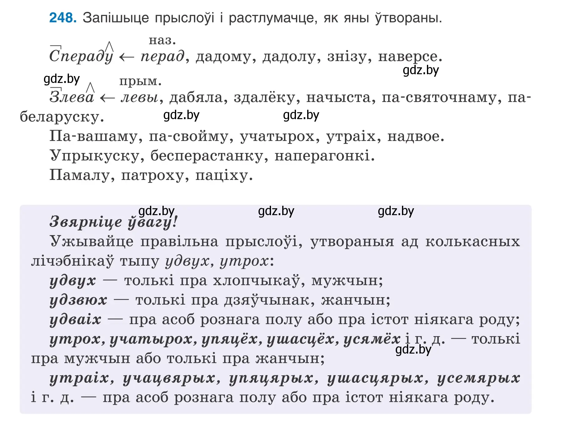 Условие номер 248 (страница 141) гдз по белорусскому языку 7 класс Валочка, Зелянко, учебник