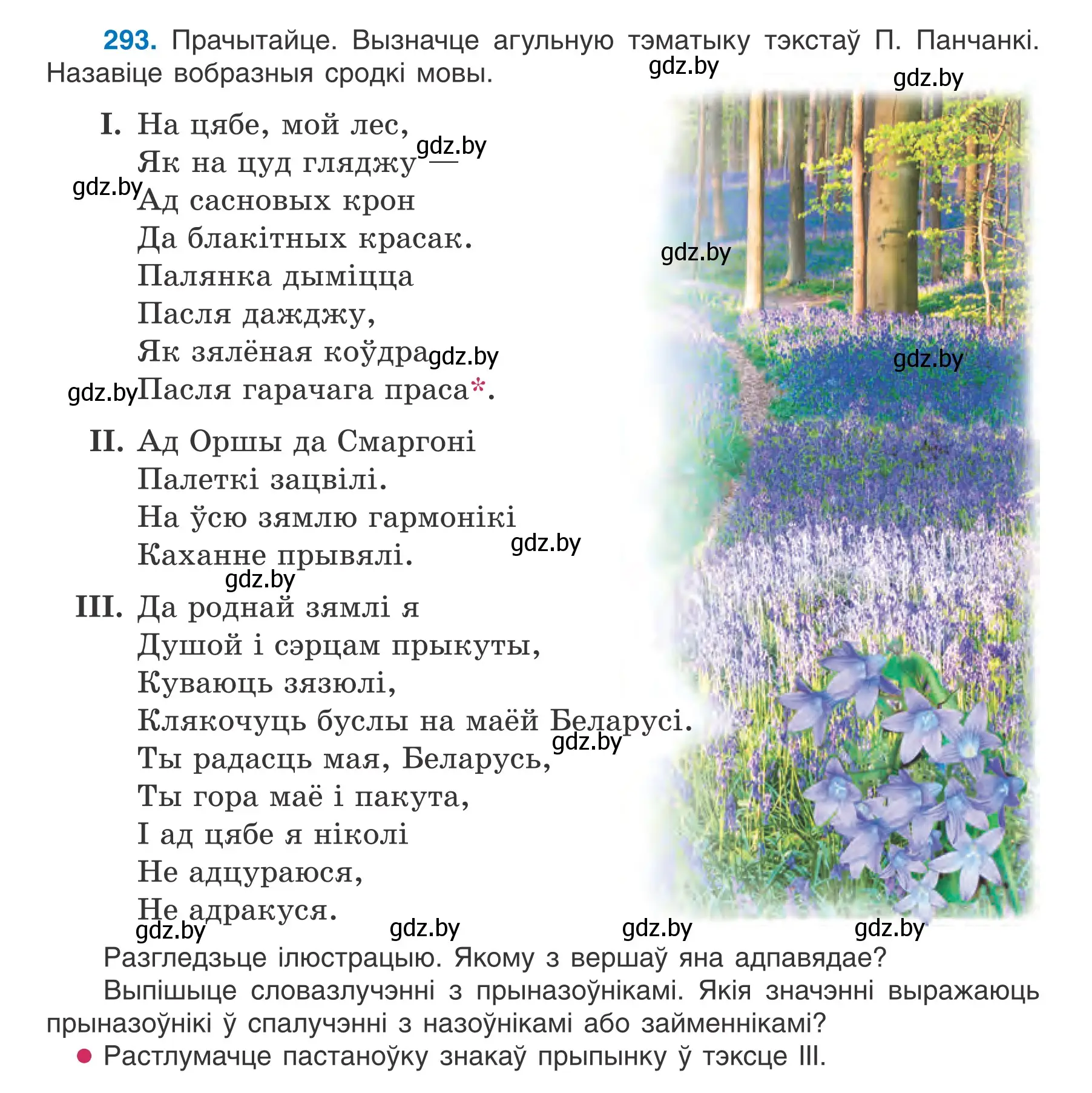 Условие номер 293 (страница 171) гдз по белорусскому языку 7 класс Валочка, Зелянко, учебник