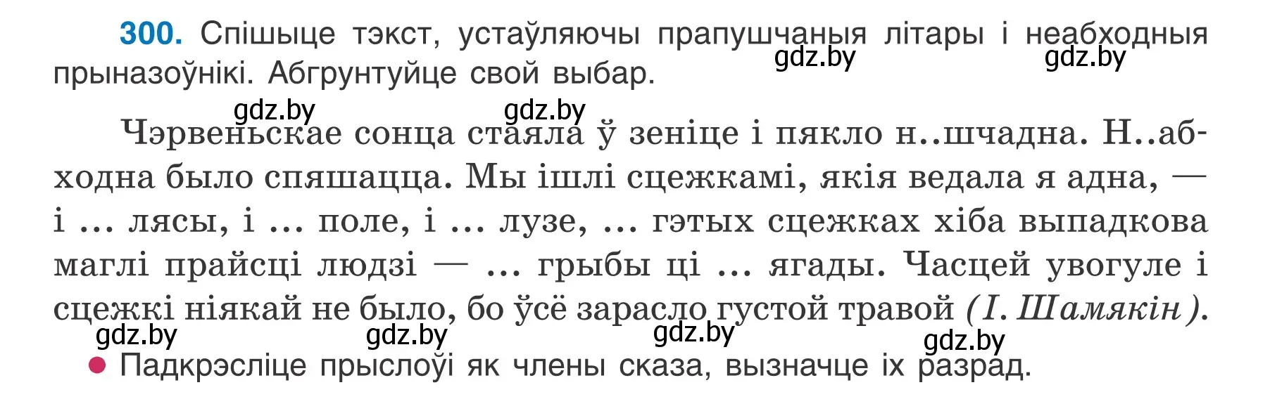 Условие номер 300 (страница 176) гдз по белорусскому языку 7 класс Валочка, Зелянко, учебник