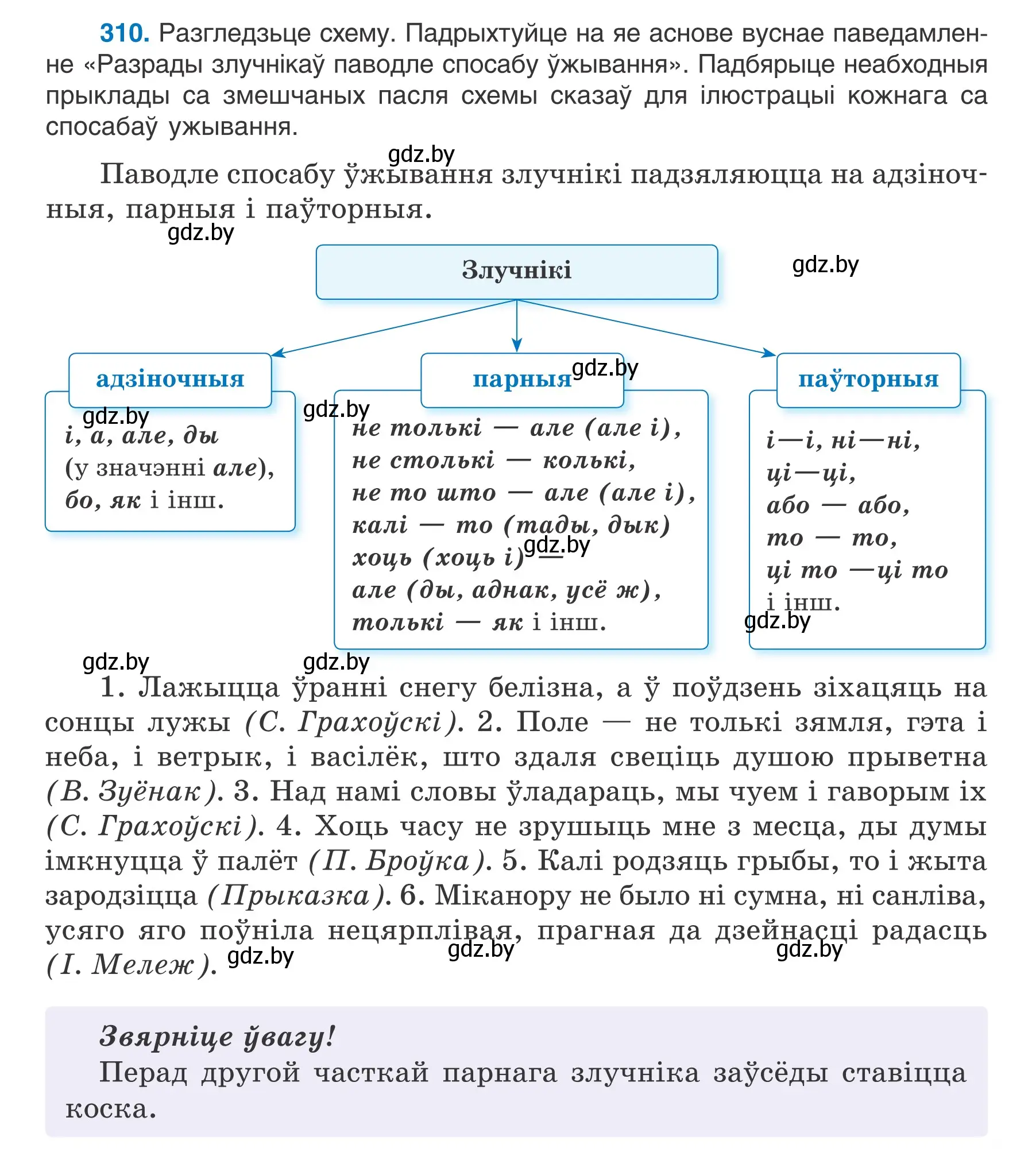 Условие номер 310 (страница 183) гдз по белорусскому языку 7 класс Валочка, Зелянко, учебник