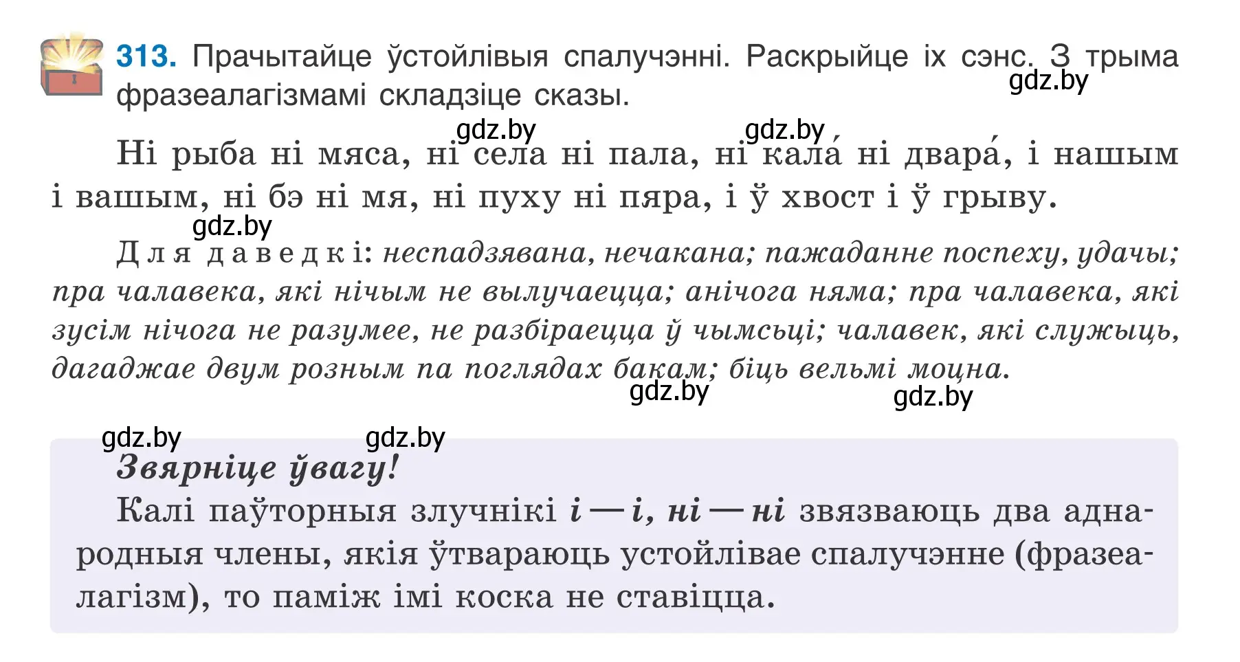 Условие номер 313 (страница 185) гдз по белорусскому языку 7 класс Валочка, Зелянко, учебник