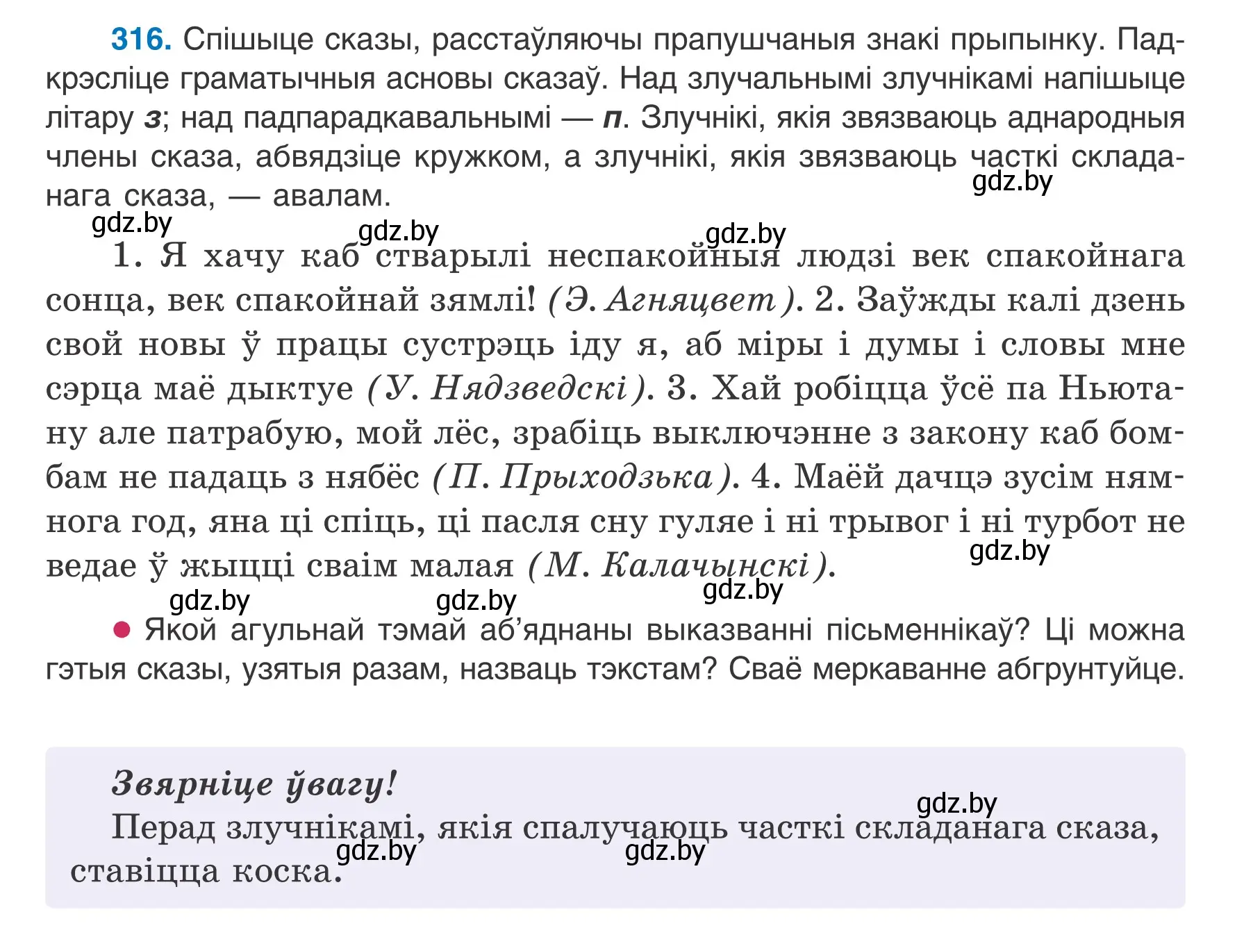 Условие номер 316 (страница 187) гдз по белорусскому языку 7 класс Валочка, Зелянко, учебник