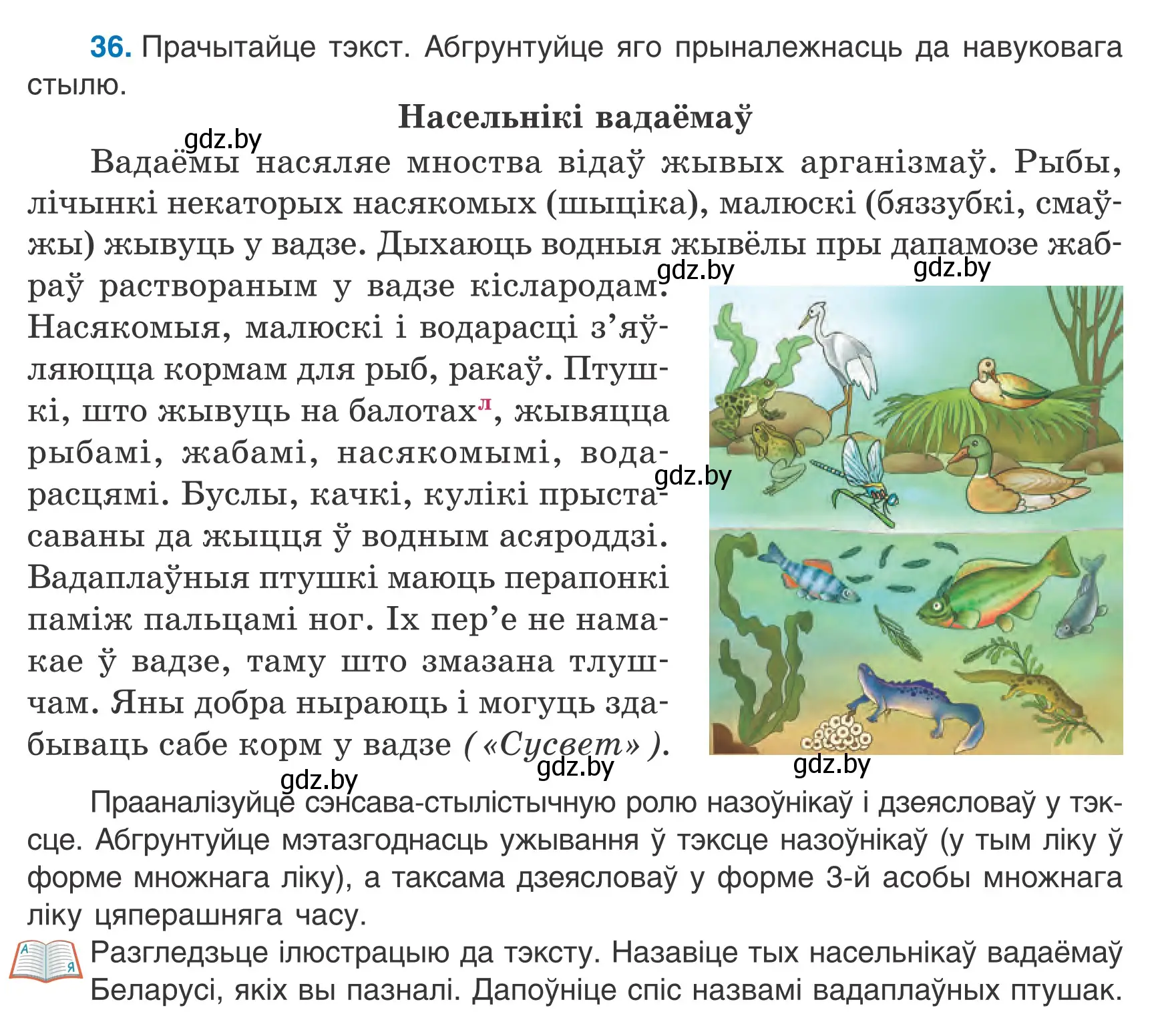 Условие номер 36 (страница 27) гдз по белорусскому языку 7 класс Валочка, Зелянко, учебник