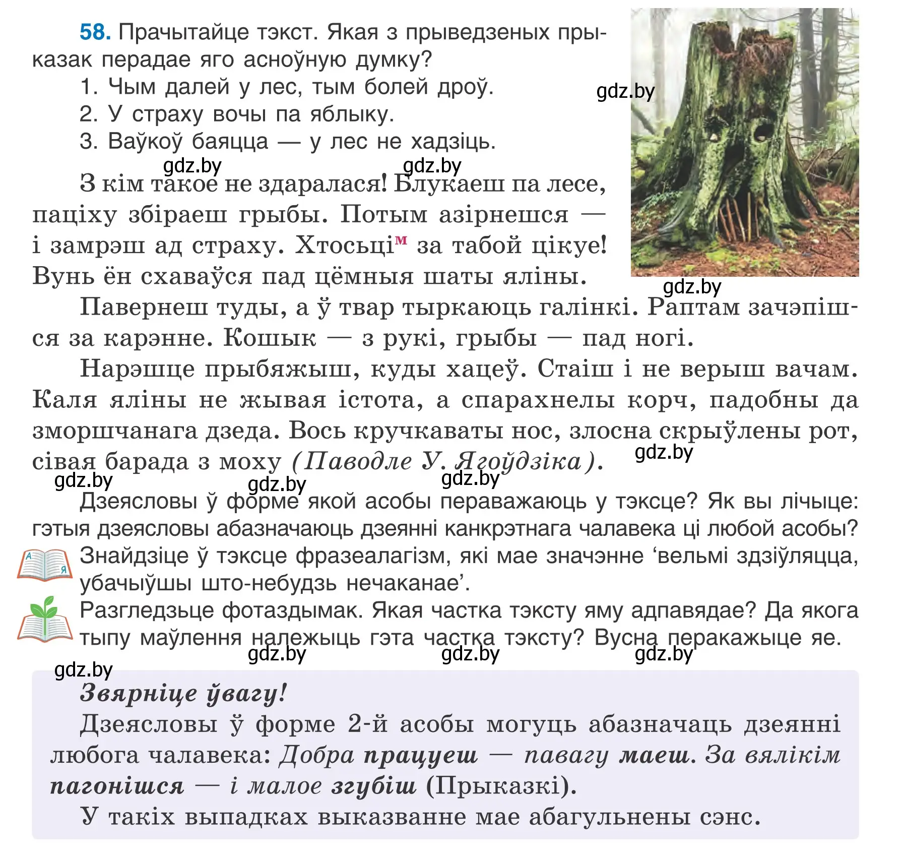 Условие номер 58 (страница 39) гдз по белорусскому языку 7 класс Валочка, Зелянко, учебник