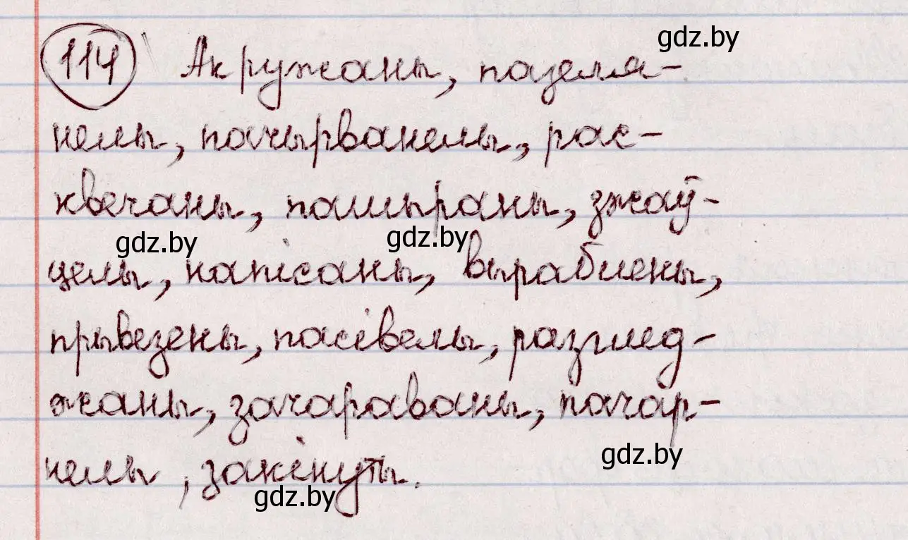 Решение номер 114 (страница 71) гдз по белорусскому языку 7 класс Валочка, Зелянко, учебник