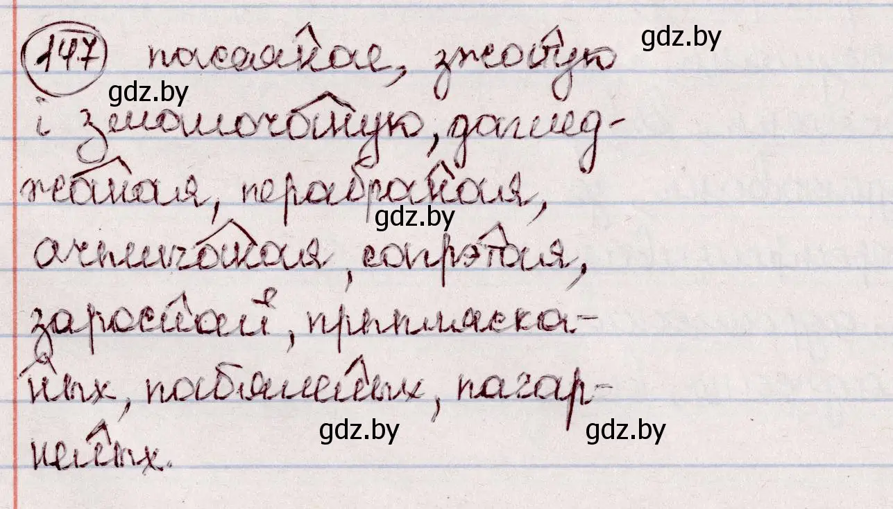 Решение номер 147 (страница 87) гдз по белорусскому языку 7 класс Валочка, Зелянко, учебник