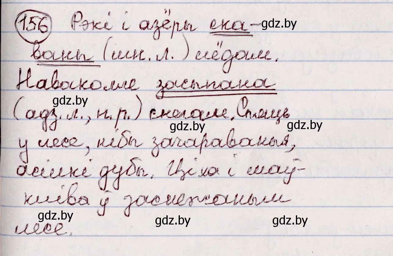 Решение номер 156 (страница 91) гдз по белорусскому языку 7 класс Валочка, Зелянко, учебник