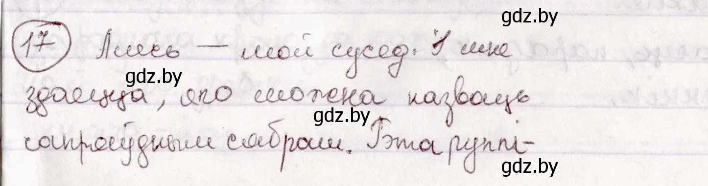 Решение номер 17 (страница 16) гдз по белорусскому языку 7 класс Валочка, Зелянко, учебник