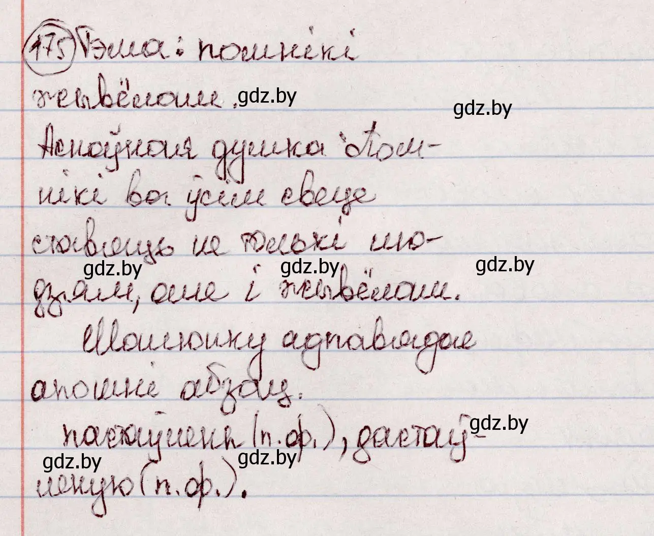 Решение номер 175 (страница 100) гдз по белорусскому языку 7 класс Валочка, Зелянко, учебник