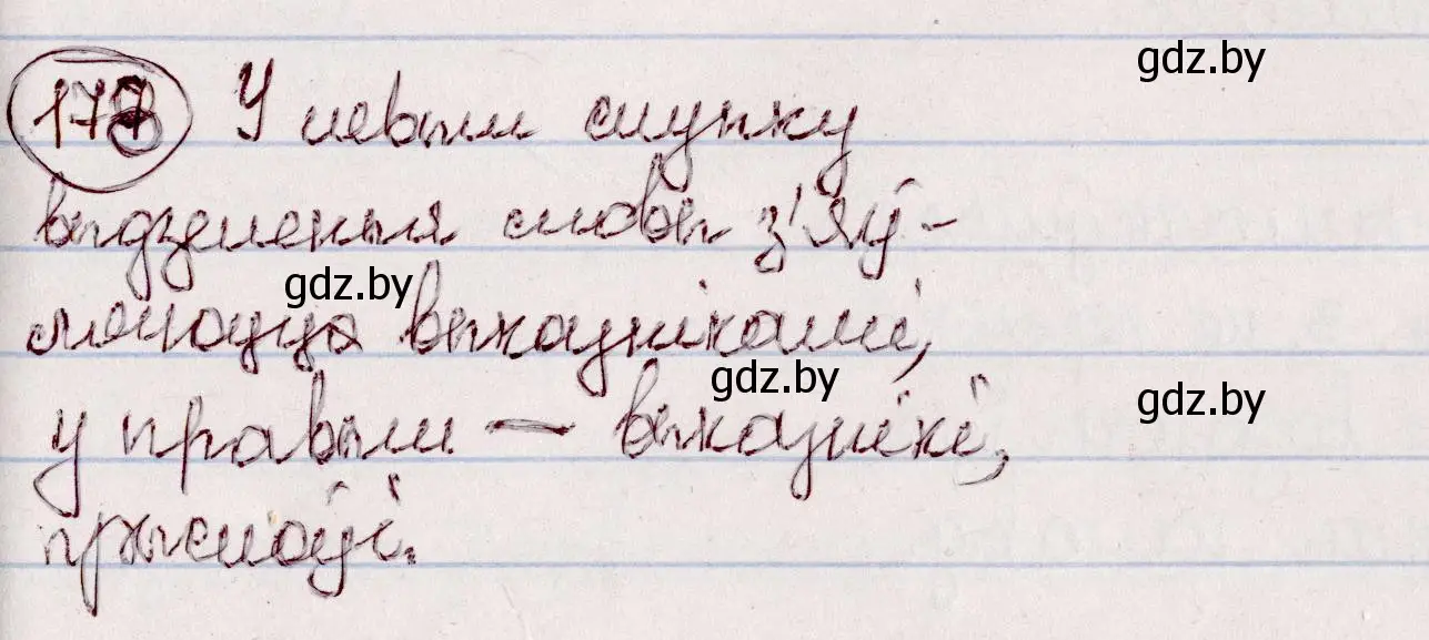 Решение номер 178 (страница 102) гдз по белорусскому языку 7 класс Валочка, Зелянко, учебник