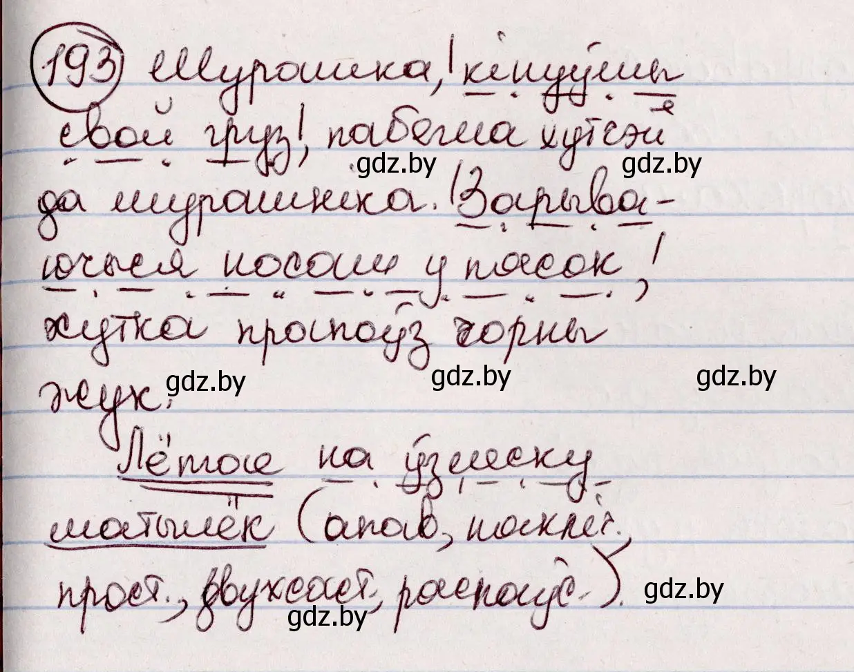 Решение номер 193 (страница 110) гдз по белорусскому языку 7 класс Валочка, Зелянко, учебник