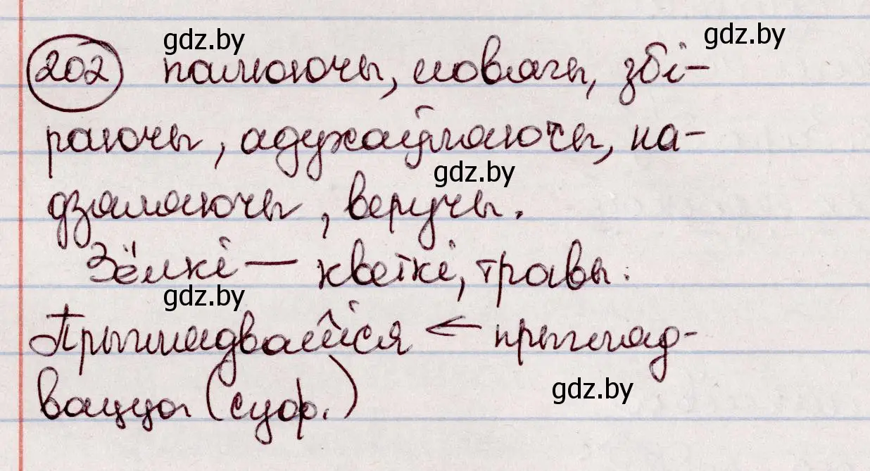 Решение номер 202 (страница 114) гдз по белорусскому языку 7 класс Валочка, Зелянко, учебник