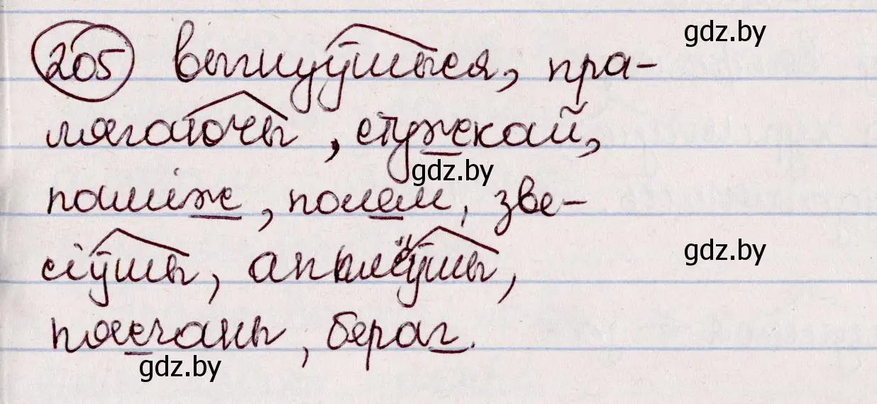 Решение номер 205 (страница 115) гдз по белорусскому языку 7 класс Валочка, Зелянко, учебник