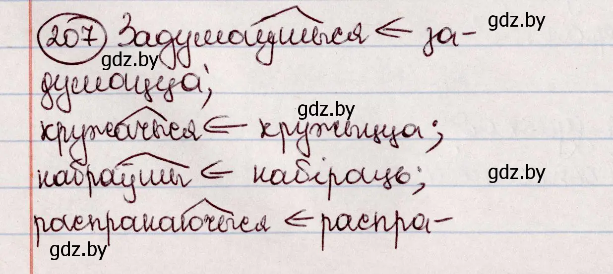 Решение номер 207 (страница 116) гдз по белорусскому языку 7 класс Валочка, Зелянко, учебник