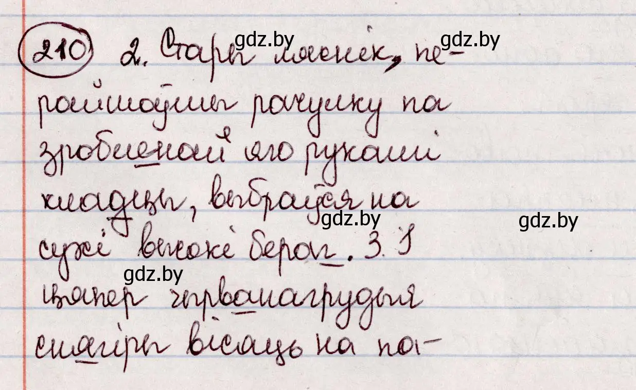 Решение номер 210 (страница 117) гдз по белорусскому языку 7 класс Валочка, Зелянко, учебник