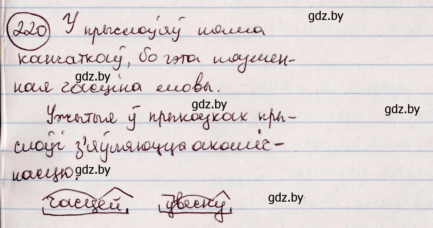 Решение номер 220 (страница 124) гдз по белорусскому языку 7 класс Валочка, Зелянко, учебник