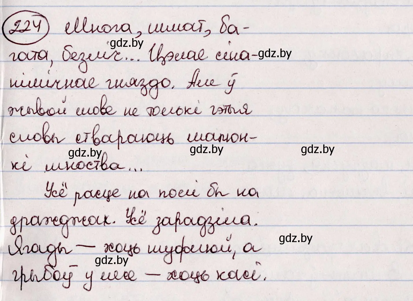 Решение номер 224 (страница 126) гдз по белорусскому языку 7 класс Валочка, Зелянко, учебник