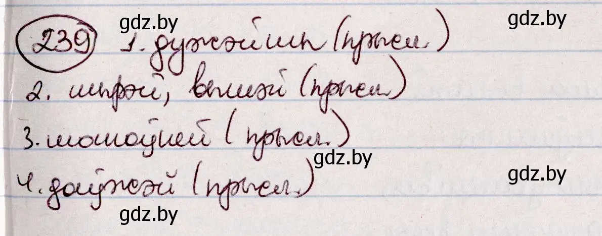 Решение номер 239 (страница 137) гдз по белорусскому языку 7 класс Валочка, Зелянко, учебник