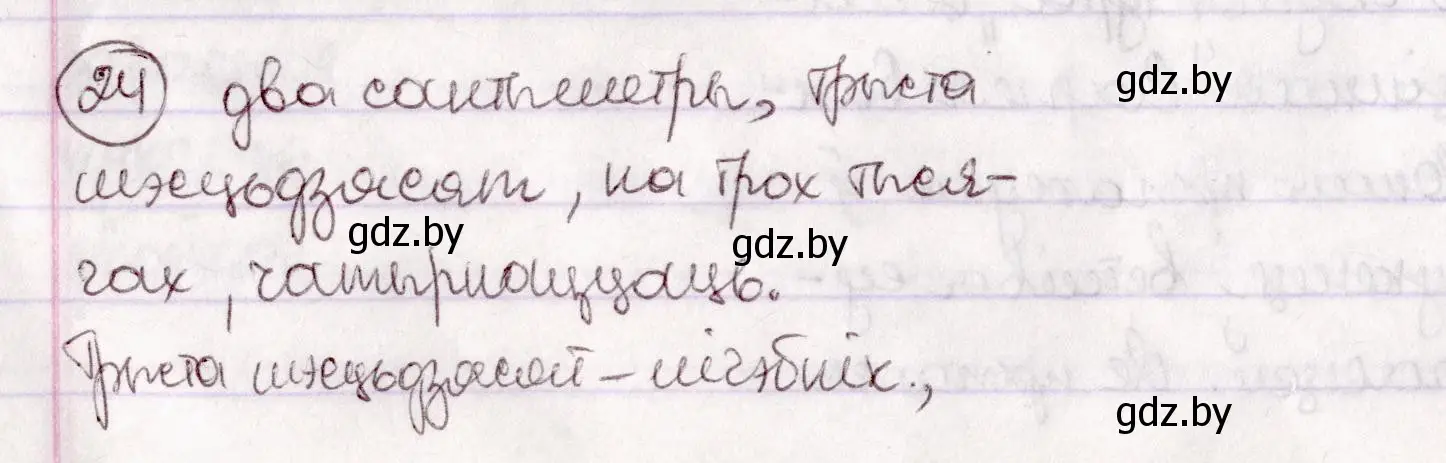 Решение номер 24 (страница 20) гдз по белорусскому языку 7 класс Валочка, Зелянко, учебник