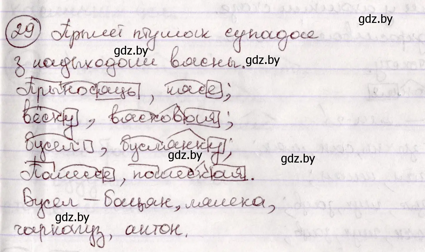 Решение номер 29 (страница 23) гдз по белорусскому языку 7 класс Валочка, Зелянко, учебник