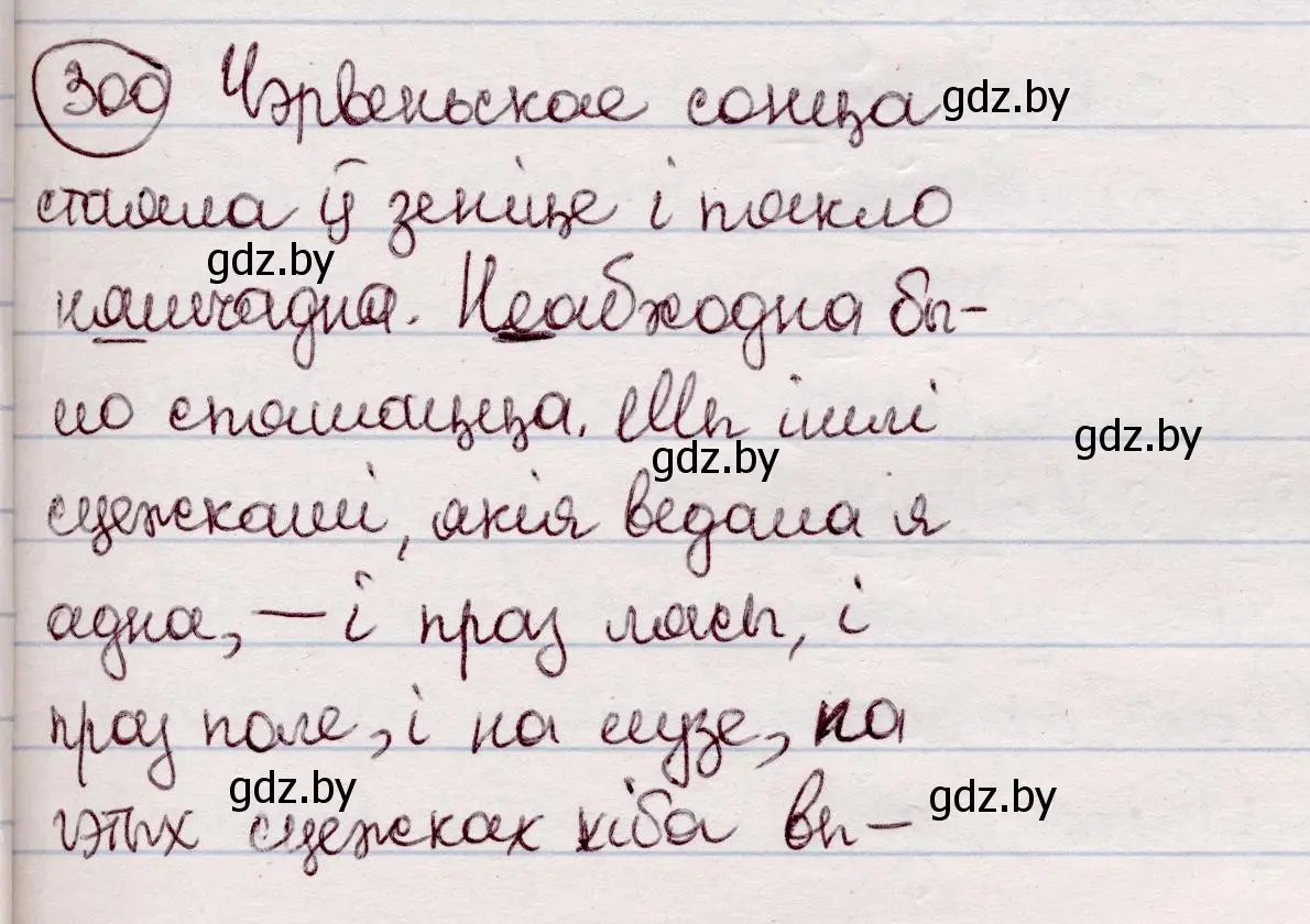 Решение номер 300 (страница 176) гдз по белорусскому языку 7 класс Валочка, Зелянко, учебник