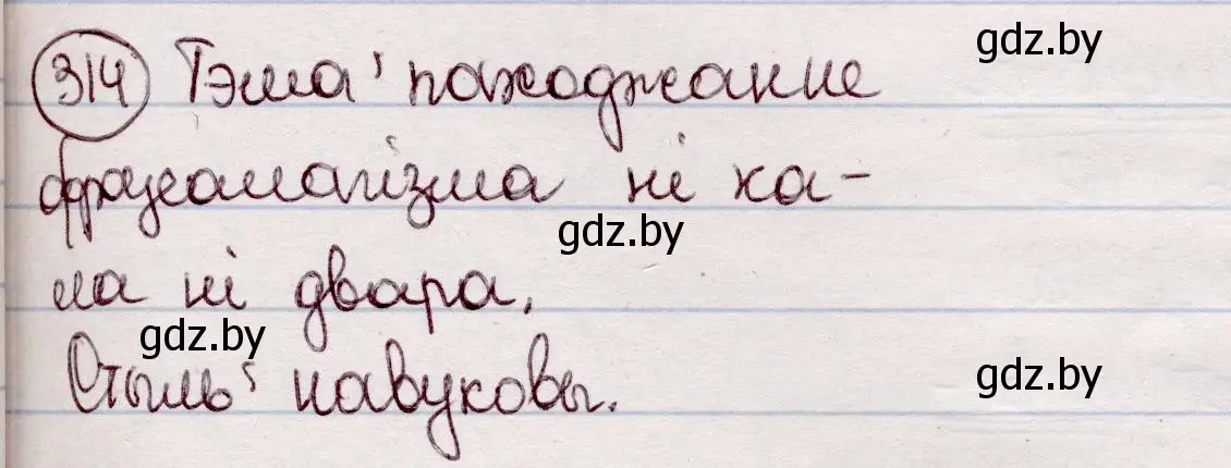 Решение номер 314 (страница 185) гдз по белорусскому языку 7 класс Валочка, Зелянко, учебник