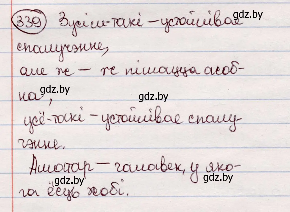 Решение номер 339 (страница 201) гдз по белорусскому языку 7 класс Валочка, Зелянко, учебник