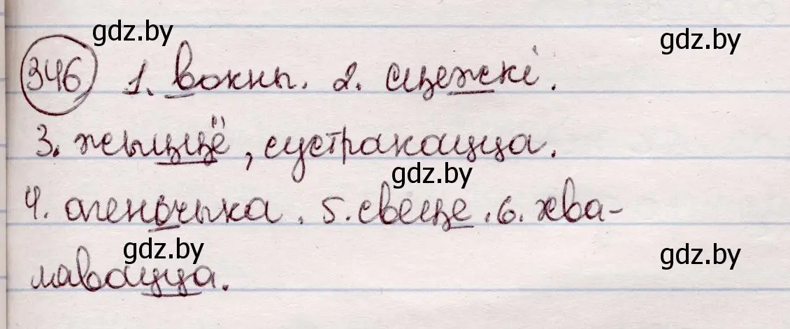 Решение номер 346 (страница 206) гдз по белорусскому языку 7 класс Валочка, Зелянко, учебник