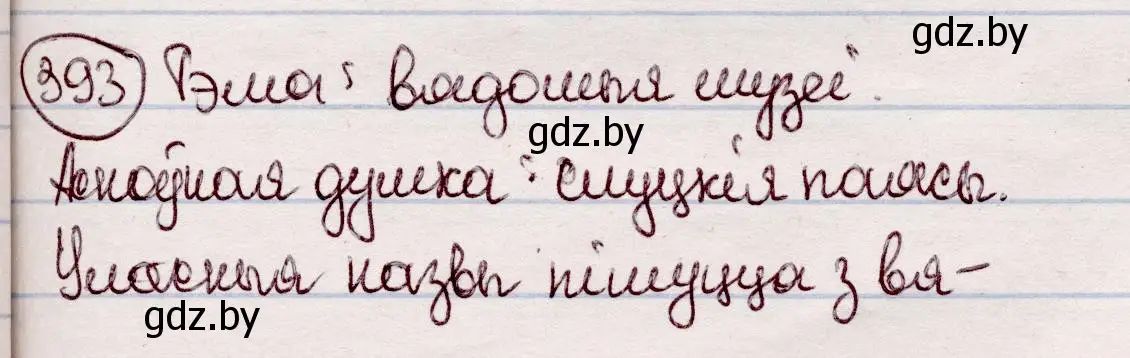 Решение номер 393 (страница 228) гдз по белорусскому языку 7 класс Валочка, Зелянко, учебник