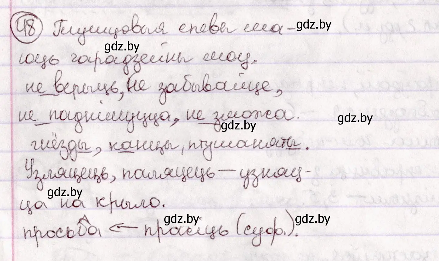 Решение номер 48 (страница 33) гдз по белорусскому языку 7 класс Валочка, Зелянко, учебник