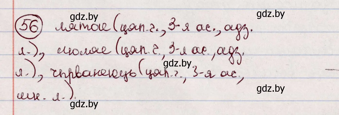Решение номер 56 (страница 38) гдз по белорусскому языку 7 класс Валочка, Зелянко, учебник