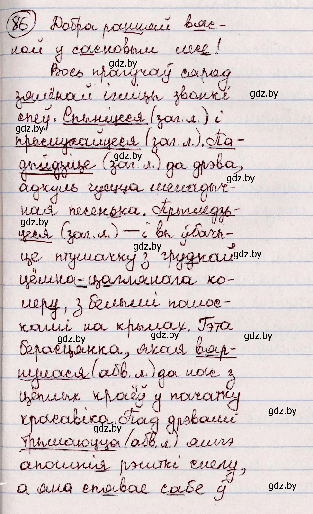 Решение номер 86 (страница 54) гдз по белорусскому языку 7 класс Валочка, Зелянко, учебник