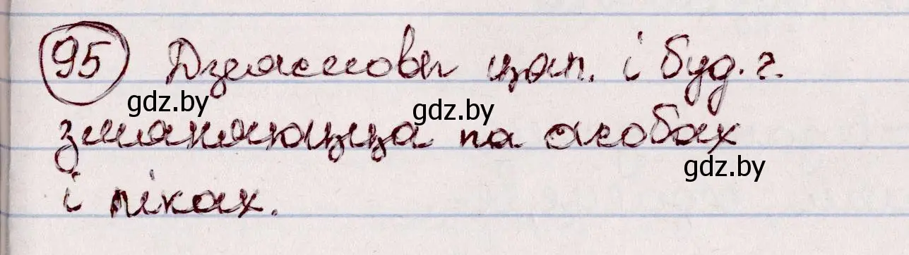 Решение номер 95 (страница 60) гдз по белорусскому языку 7 класс Валочка, Зелянко, учебник