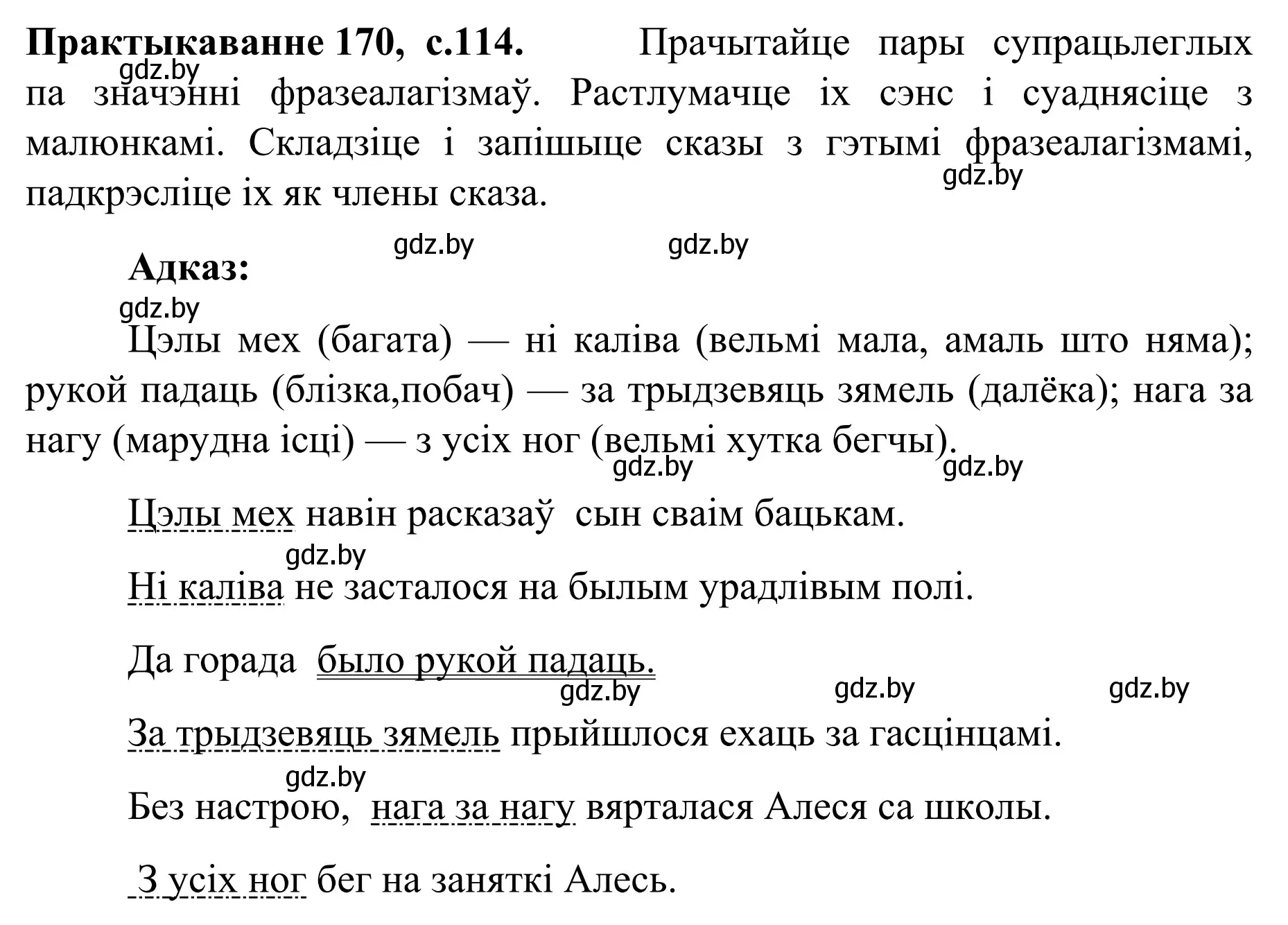 Решение номер 170 (страница 114) гдз по белорусскому языку 8 класс Бадевич, Саматыя, учебник