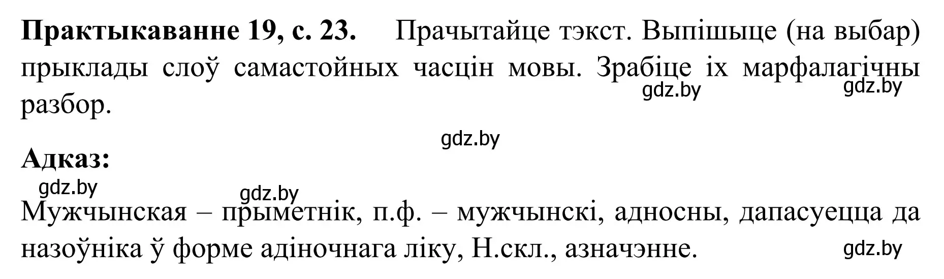 Решение номер 19 (страница 23) гдз по белорусскому языку 8 класс Бадевич, Саматыя, учебник