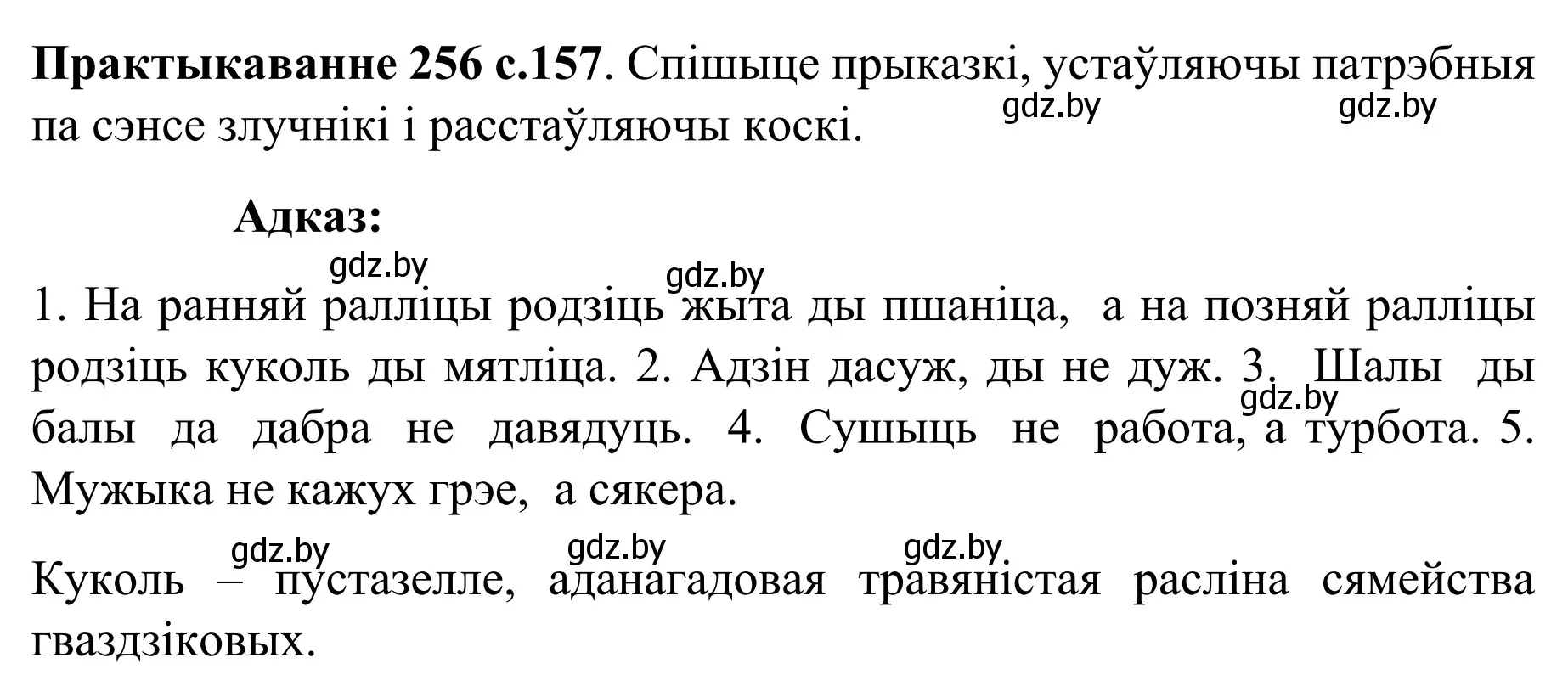 Решение номер 256 (страница 157) гдз по белорусскому языку 8 класс Бадевич, Саматыя, учебник