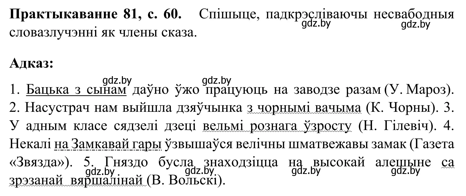 Решение номер 81 (страница 60) гдз по белорусскому языку 8 класс Бадевич, Саматыя, учебник
