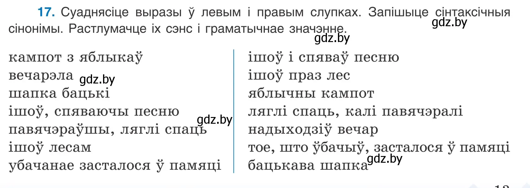 Условие номер 17 (страница 13) гдз по белорусскому языку 9 класс Валочка, Васюкович, учебник