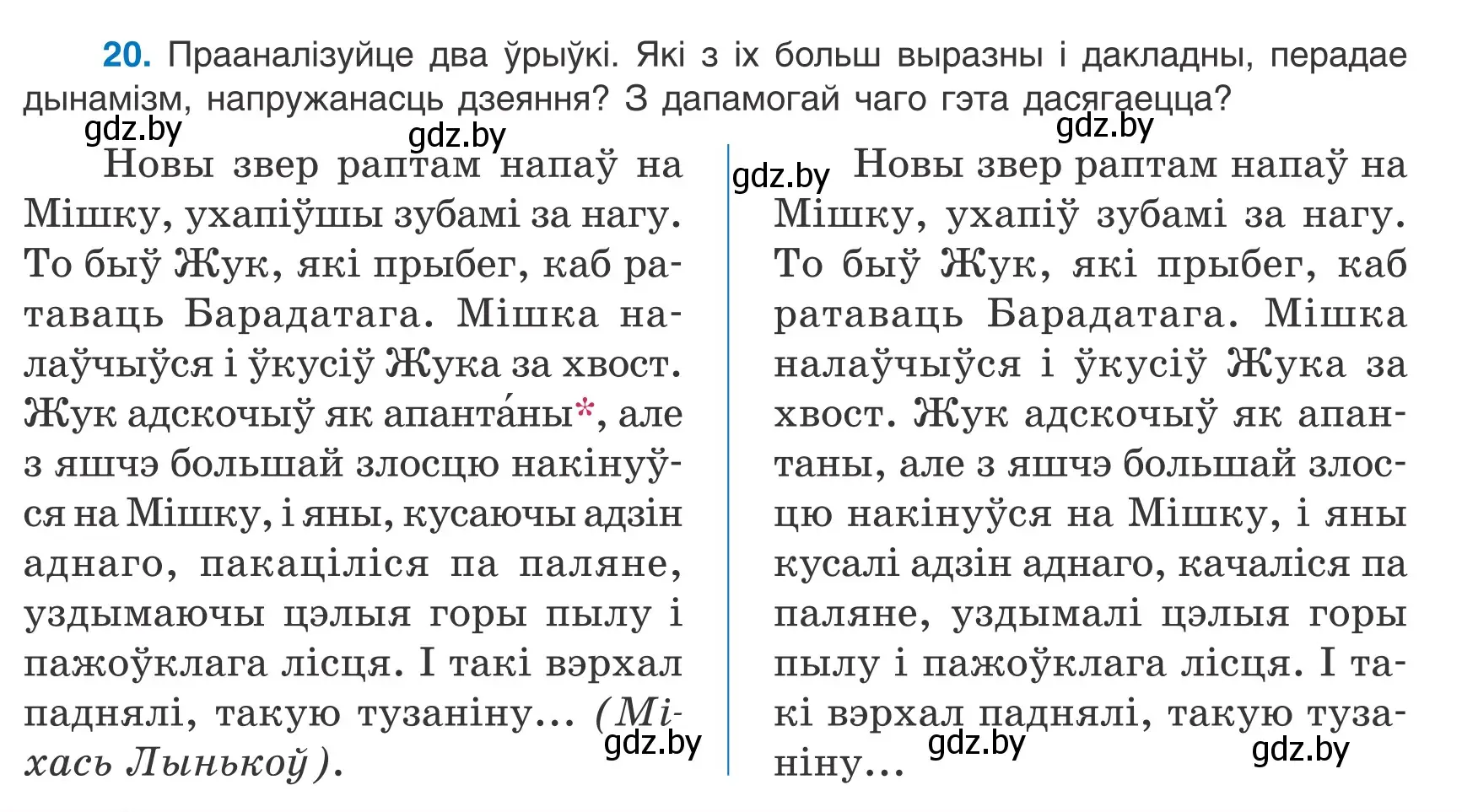 Условие номер 20 (страница 14) гдз по белорусскому языку 9 класс Валочка, Васюкович, учебник