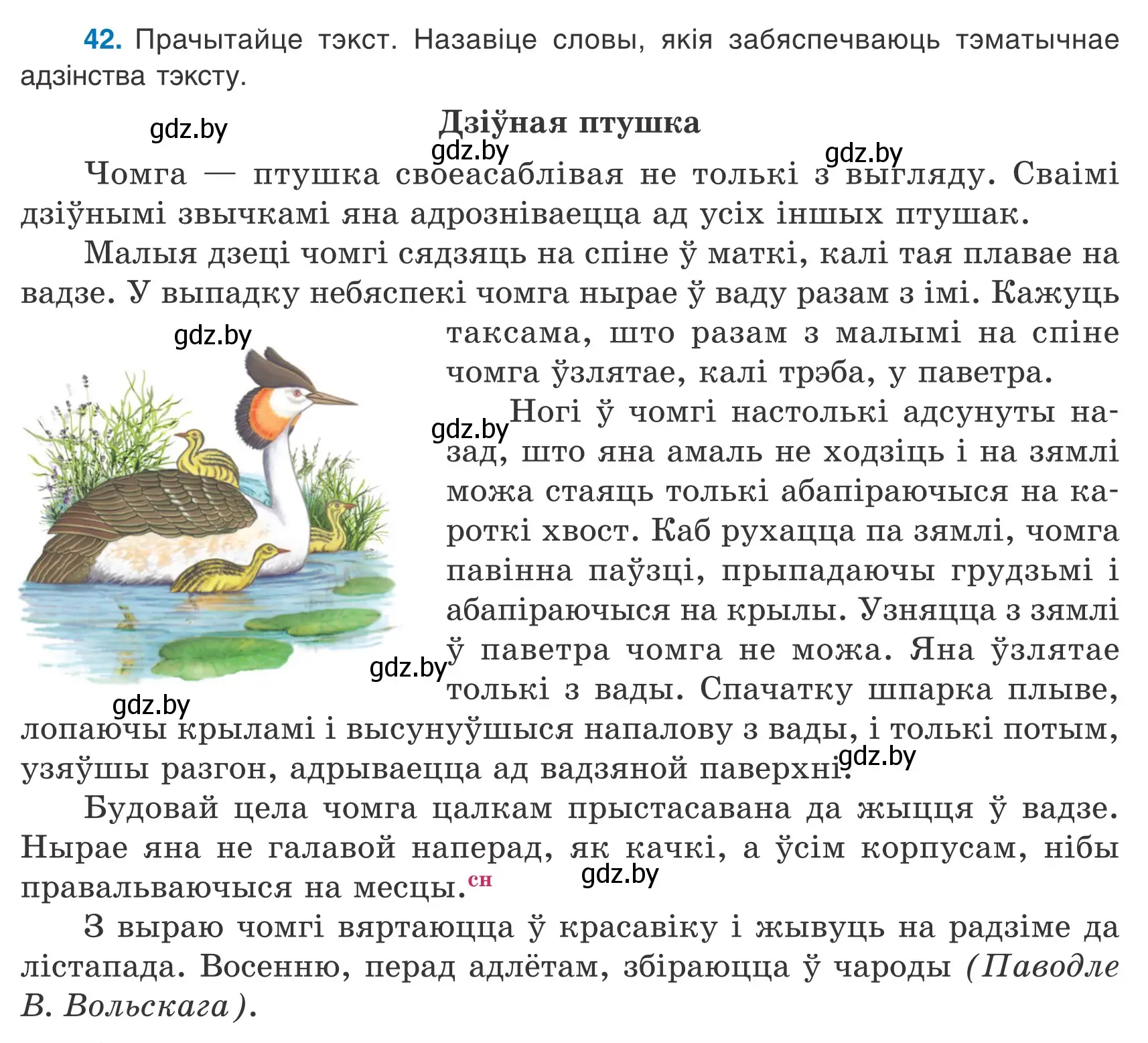 Условие номер 42 (страница 28) гдз по белорусскому языку 9 класс Валочка, Васюкович, учебник