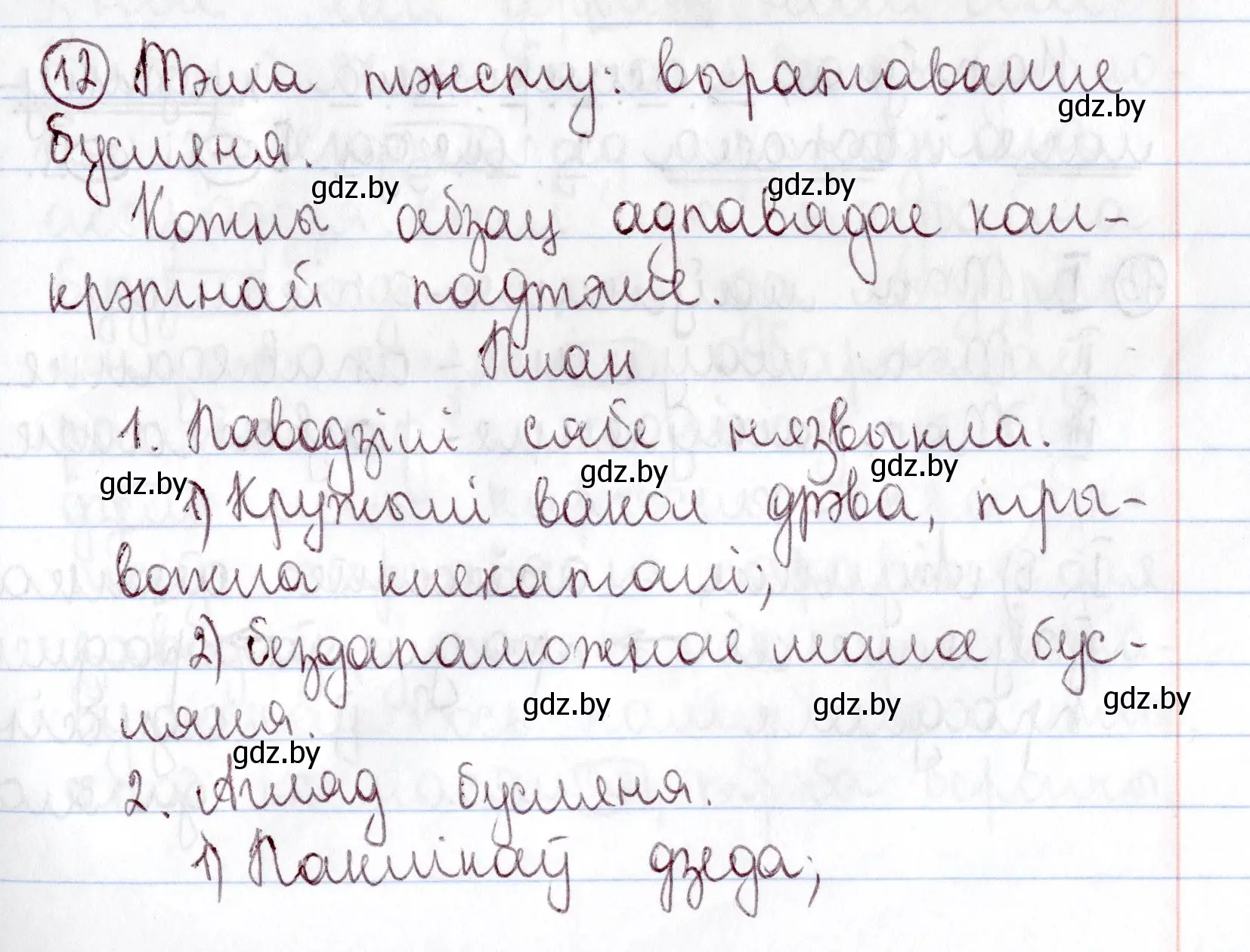 Решение номер 12 (страница 9) гдз по белорусскому языку 9 класс Валочка, Васюкович, учебник