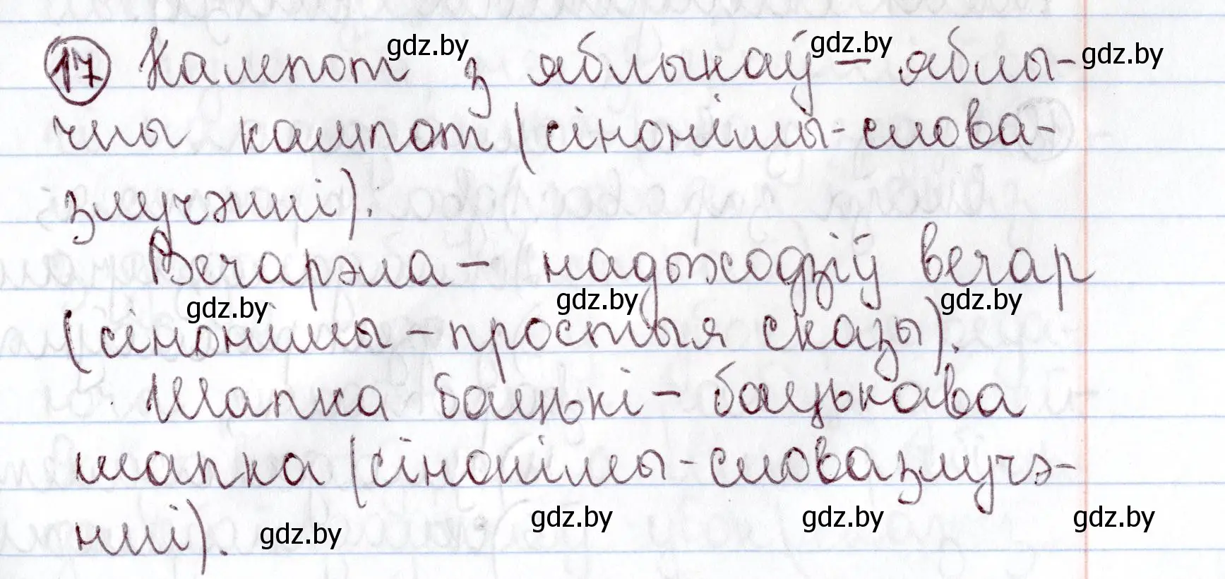 Решение номер 17 (страница 13) гдз по белорусскому языку 9 класс Валочка, Васюкович, учебник