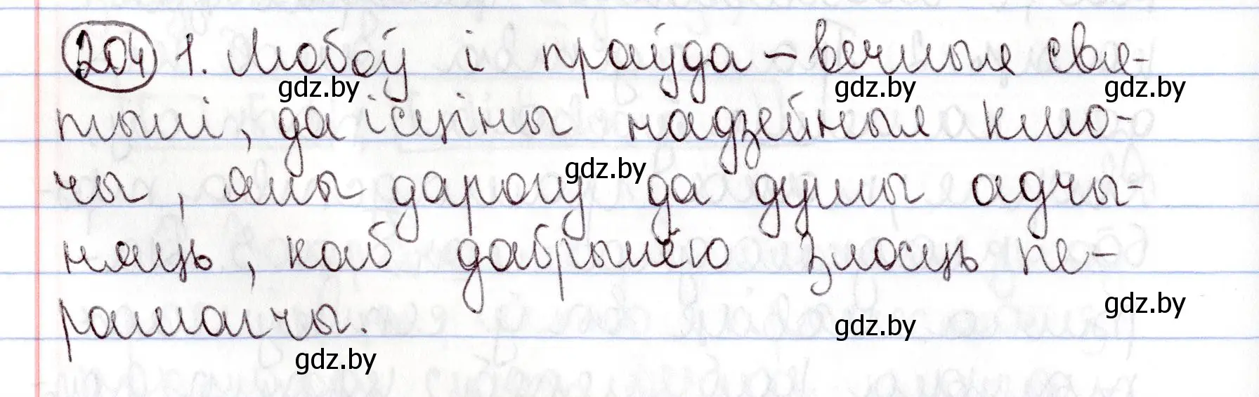 Решение номер 204 (страница 144) гдз по белорусскому языку 9 класс Валочка, Васюкович, учебник