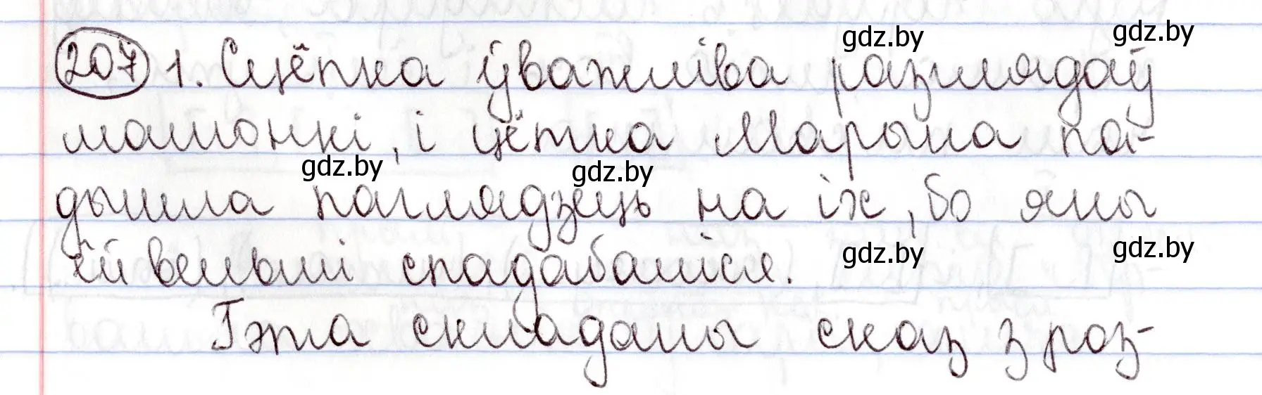 Решение номер 207 (страница 146) гдз по белорусскому языку 9 класс Валочка, Васюкович, учебник